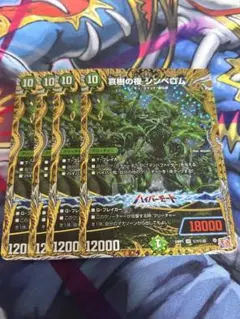 哀樹の夜 シンベロム シク