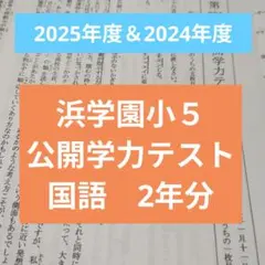 2026年最新】浜学園公開テスト小5の人気アイテム - メルカリ