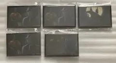 ディズニー ツイステッドワンダーランド アニメーション缶バッジ　ジャミル