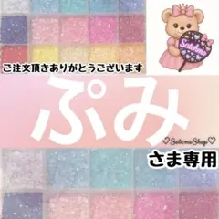 ぷみ様専用