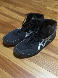 Item thumbnail for item bb46751b-9df5-4891-ab0d-595bb266cab4