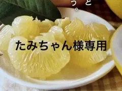 たみちゃん様専用　土佐文旦わけありミックス　10キロ