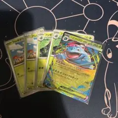 ポケモンカード　メガフシギバナex　進化ライン