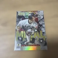 Item thumbnail for item c4c9f067-6d13-4227-8e81-66dc29d94f70