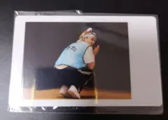 パンダドラゴン　チェキ　ハピカ　トレカ パンダドラゴン on X