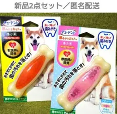 Item thumbnail for item 5e37f445-8815-400c-a016-6f86e13e92fc