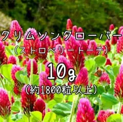 maa m様 リクエスト 2点 まとめ商品