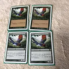 2025年最新】極楽鳥 mtgの人気アイテム - メルカリ