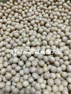 令和7年産　大粒大豆　10キロ売り切り価格 令和7年産 大粒大豆 10キロ売り切り価格 - メルカリ
