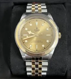 未使用展示品！TUDOR Black Bay 36 S&G 79683のサムネイル