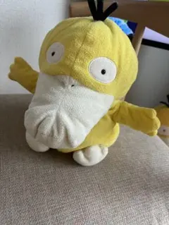 コダック　盛り合わせ