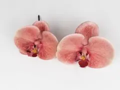 アーティフィシャルフラワー 髪飾り ハンドメイド 胡蝶蘭 ヘッドパーツ 和服 袴