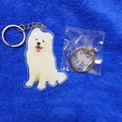 サモエド アクリルキーホルダー