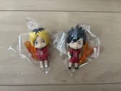 ハイキュー ねんどろいど さぷらいず 黒尾鉄朗 孤爪研磨