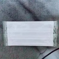 不織布マスク(30枚)(ホワイト)