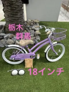 激レア 私立恵比寿中学 エビ中 自転車 折りたたみ自転車 直接引き取り 激レア 私立恵比寿中学 エビ中 自転車 折りたたみ自転車 直接引き取り