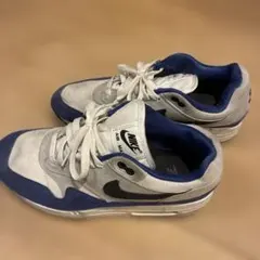 Nike Air Max 26.5センチ