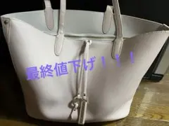 【MAX値下げ】アンタイトル　ピング　バックのサムネイル