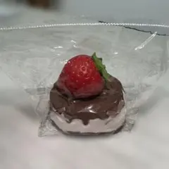 【kikisquishy】でかいちごチョコケーキ