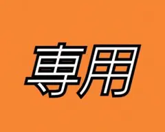 東京ディズニーリゾート ミニタオル4枚セット