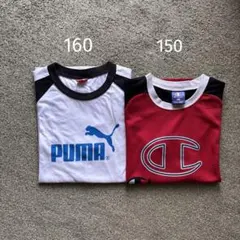PUM160 チャンピオン150 Tシャツセット　キッズ