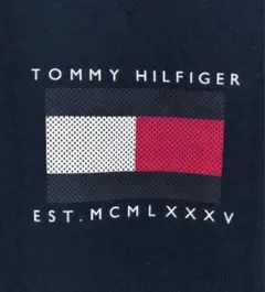 ゴルフモックネックメンズ