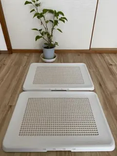 Item thumbnail for item 9d0f8998-35ea-41ff-b83f-2c5af534fb7a