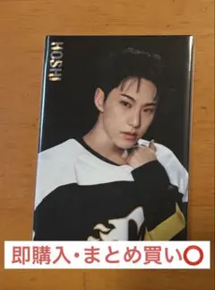 SEVENTEEN's HOME ホシ 04