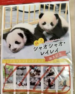 2025年最新】シャオシャオ レイレイの人気アイテム - メルカリ