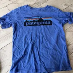 patagonia 青 Tシャツ ロゴ入り