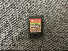 Minecraft Nintendo Switch 日本版　ソフトのみ