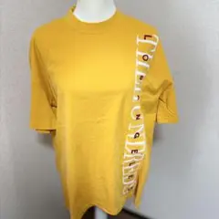 【希少】THE HUNDREDS 刺繍ロゴ Tシャツ イエロー Sサイズのサムネイル