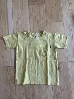 Item thumbnail for item 158731cd-c384-465d-85d5-3221ed4a9e19