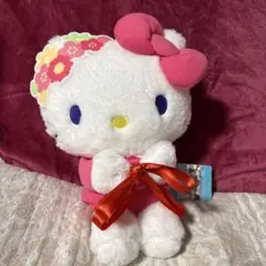 Myハローキティ　抱っこポーズドール　BIG タイプ2