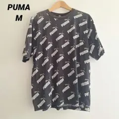 Item thumbnail for item e9b6ee6f-1211-45f6-b241-ac9188508243