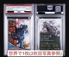 PSA9 イクイノックス 2024 金箔サイン - メルカリ