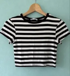 ZARA ザラ ストライプ ボーダー クロップドTシャツ 白 黒 M