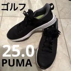 PUMAプーマ ゴルフ シューズ25.0黒レディースメンズ
