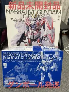 MG エールカラミティガンダム HGナラティブガンダムA装備 - メルカリ