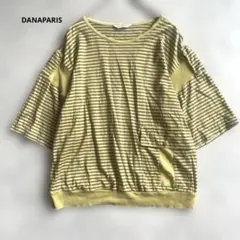 DANAPARISボーダー 半袖Tシャツ 黄緑と茶色のサムネイル