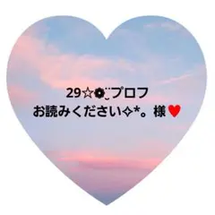 29☆❁¨̮プロフお読みください✧︎*。様　専用