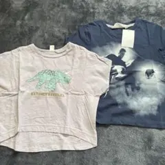 男の子向け　半袖　Tシャツ　まとめ売り　90 & 100