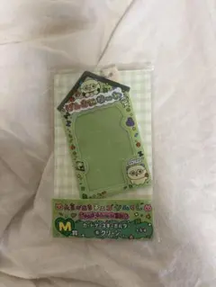 元気が出るチェゴシムくじ M賞 カードケースキーホルダー グリーン