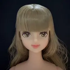 2026年最新】おたのしみドール サヤカの人気アイテム - メルカリ