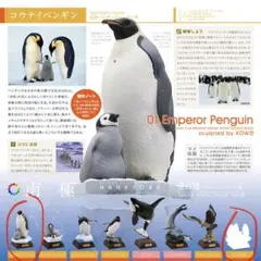 ネイチャーテクニカラー「南極」　コウテイペンギン&シークレット