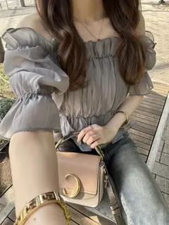 【新品タグ付き!!即購入OK!!】シアーギャザーショート丈ブラウス[tu541]