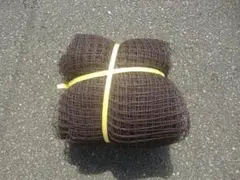 Item thumbnail for item 40a20ac0-a9c4-450c-9c6d-06b34a8184d2