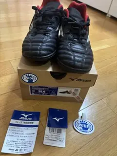 サッカーシューズ　トレーニングシューズ　MIZUNO ミズノ　25.0cm