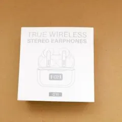 TRUE WIRELESS EARPHONES