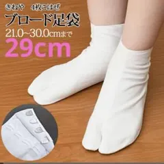 Item thumbnail for item 5bd8c8a3-05ff-4eae-85a7-1ea7e59c59db